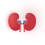 Nephrology