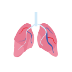 Hepatology